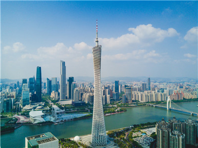 上海喝茶上课q群，交流学习快乐不停